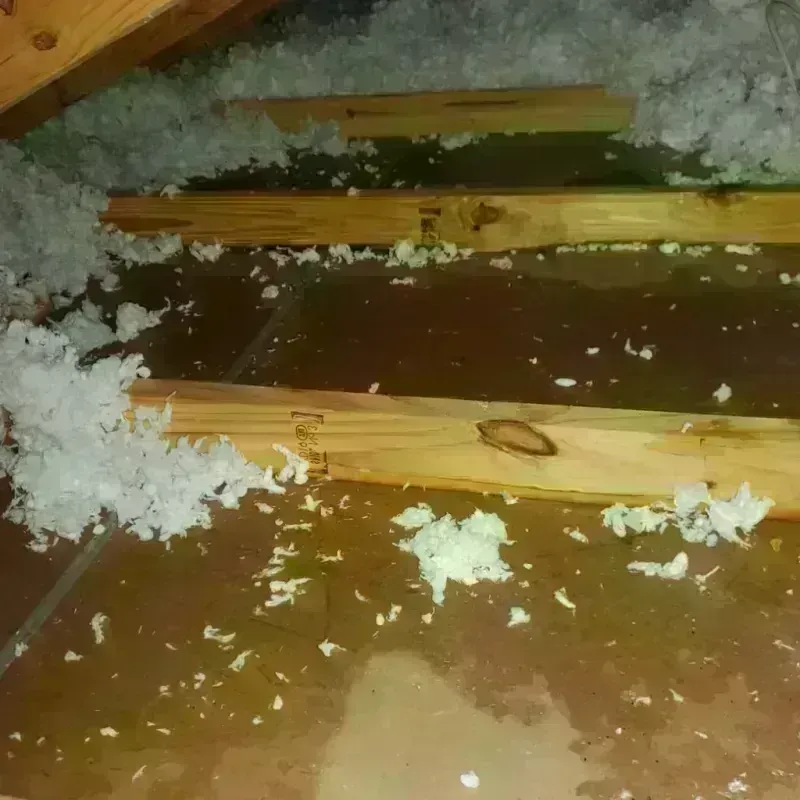 Attic Water Damage in Elkview, WV